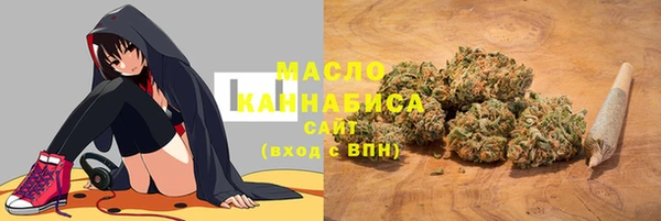 СК Михайлов