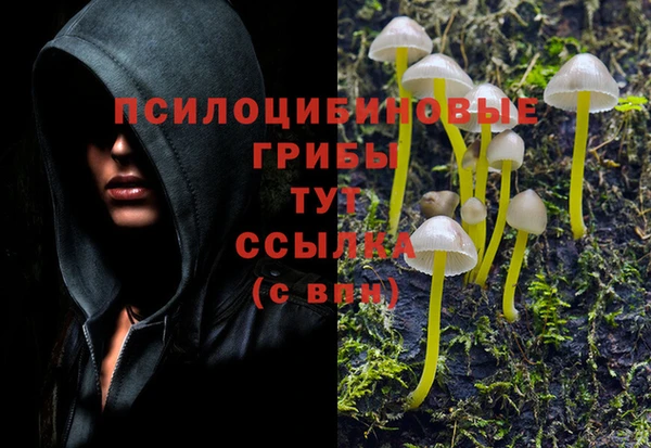 mdma Надым
