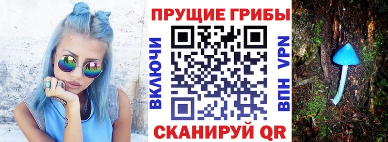 Галлюциногенные грибы прущие грибы  Нарьян-Мар 